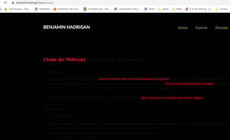 Screenshot: Nach Klicken auf "Diese Webseite verwendet Cookies, um Ihnen ein optimales Online-Erlebnis bieten zu können. Durch die Nutzung dieser Webseite erklären Sie sich mit der Verwendung von Cookies einverstanden. Mehr Infos" auf Hadrigans Home-Seite