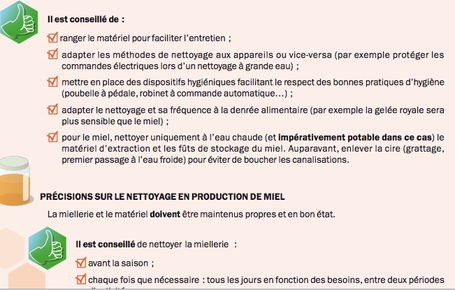 extrait guide des bonnes pratiques apicoles ITSAP