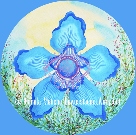 Zeit-Welle Weißer Wind 1.11. - 13.11.2025  Portaltage November 2025