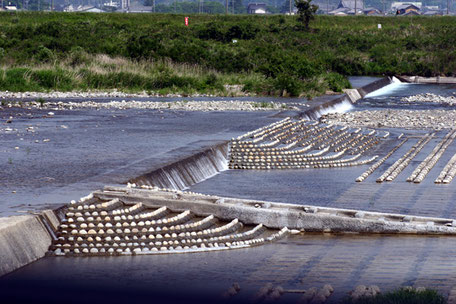 設置された棚田式魚道の画像