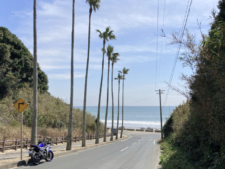 太平洋ロングビーチへの道路。背の高いワシントンヤシと海が絵になる