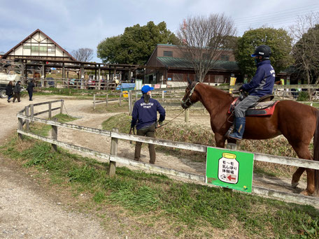 鉄馬ならぬ本物のサラブレッドに乗ってトラックを1周する引き馬体験も