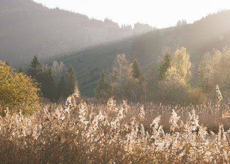 Hochmoor b. Rothenturm, Sandra Gygax Fotografie & Kunst