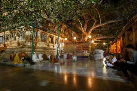 Bodhi Baum in Gaya, Sandra Gygax Fotografie & Kunst