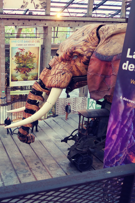 Musiciens pour événement d'entreprise, réception, séminaire, inauguration, anniversaire, lancement de produit, team-building, afterwork NANTES La Baule Saint-NazaireLoire-Atlantique 44