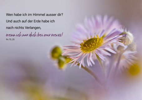 Feinstrahl, Blume, Christliche Kunstkarte