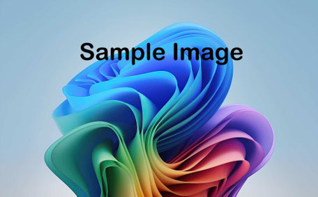 写真の説明（書式Ｂ-７）