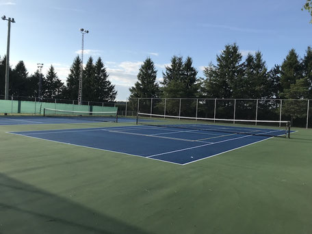 Terrain extérieur de pickleball et tennis