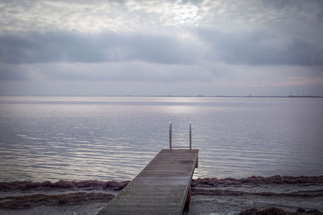 Our view on the Ijsselmeer during the interview