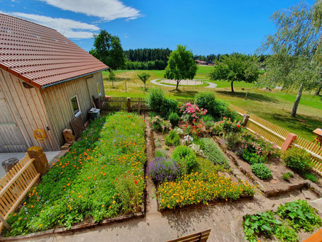 Bauerngarten mit blühenden Sträuchern und Blumen