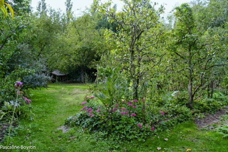 Jardin-forêt de "Het voedselbos" à Nokere