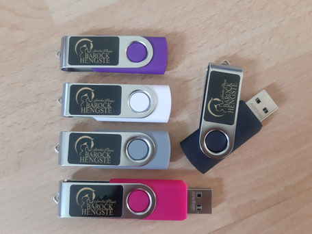 USB Stick Piaffe