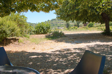 Terrasse de plein pied entourée de verdure