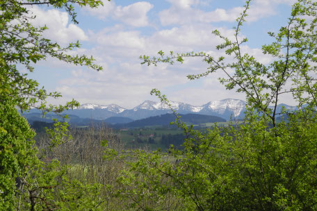 Trauredner Allgäu THOMAS HOFFMANN