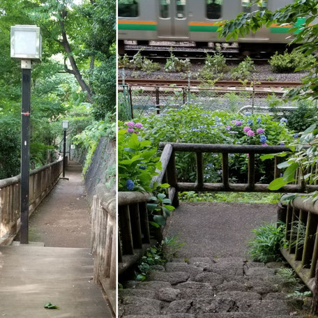 飛鳥山公園 王子