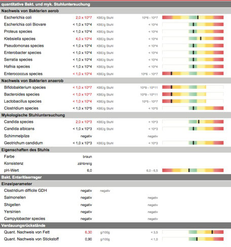Auswertung der Stuhlprobe zum Analysieren der Darmgesundheit