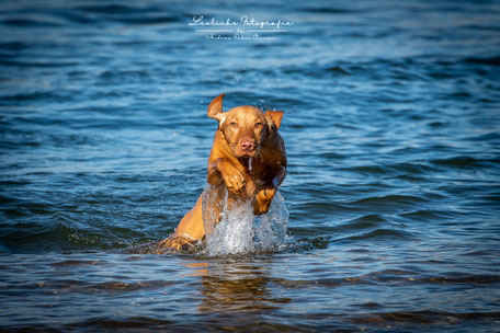 Wasser-Action