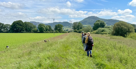 The route starts after walk along A483 from Pool Quay, heading into pastures and across to the River Severn ...