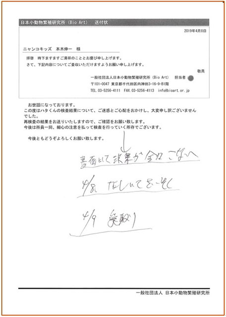 父猫の遺伝病遺伝子検査ミス発覚後の再検査の検査報告書（添付表紙）