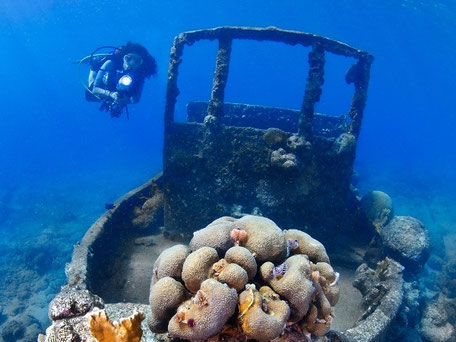 Tugboat, Curacao, Karibik, Karibische Inseln