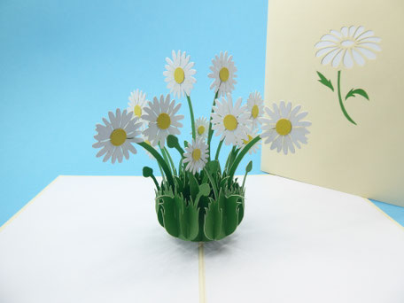 Carte pop-up bouquet de marguerites et pâquerettes