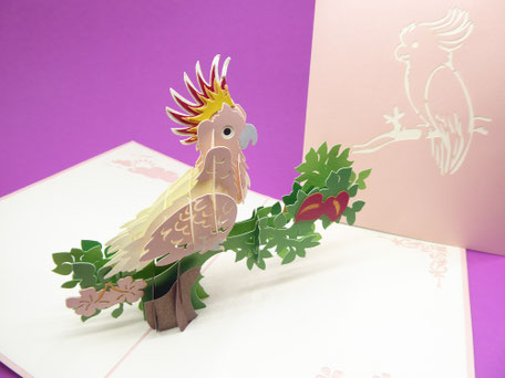 carte pop-up cacatoès perroquet