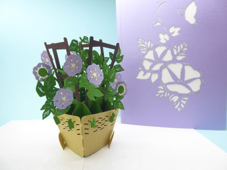 Carte pop-up ipomée volubilis liseron à fleurs mauves