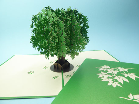 carte pop-up arbre vert aux feuilles d'érable