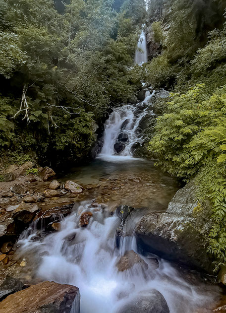 Ultental, Ultener Höfeweg, Wandern in Südtirol, Bergurlaub mit Hund, Urlaub mit Hund in Südtirol