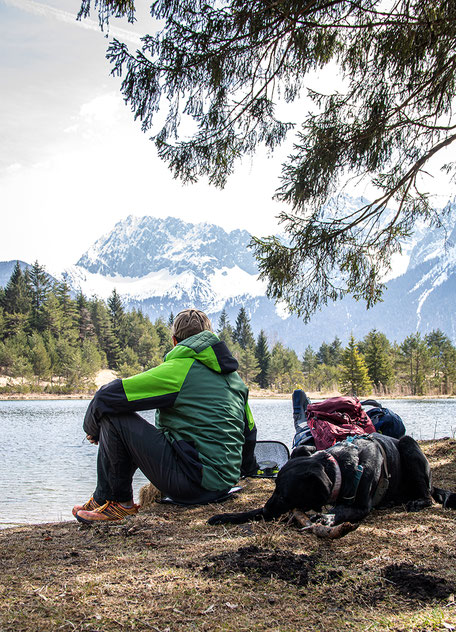 Urlaub mit Hund Berge, Bergurlaub mit Hund, Wandern mit Hund, Karwendel, Mittenwald 