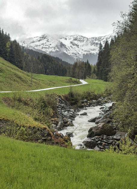 Kitzbuehler Alpen Hohe Salve Wandern in Tirol Wandern Hohe Salve Kelchsau Tagestouren Alpen Schönste Wanderungen Österreich Bergurlaub mit Hund 