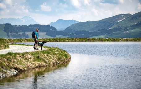 Wandern im Brixental, Wandern Kitzbühler Alpen, Rotwandalm, 4-Seen-Tour Kirchberg, Alpenrosenbahn Kreuzjöchlsee, Wandern mit Hund in den Alpen, Schönste Touren in Österreich, Tagestouren in den Alpen