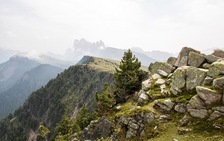 Bergurlaub mit Hund, Wandern mit Hund, Raschötz, Wandern in den Dolomiten