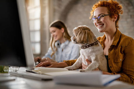 comportementaliste canin, balades canines, balades éducatives, chien au travail, chien en entreprise,  louvain-la-neuve