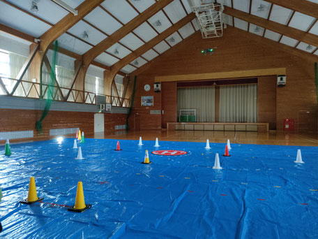 屋内飛行場
