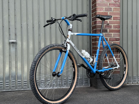 Steve Potts Cross Country Racer Custom