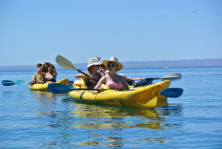 Kayak de mar en La Paz