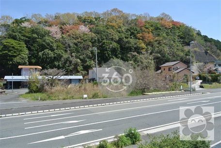 愛南町　国道沿い　事業用地　看板　住宅用地　更地　高台