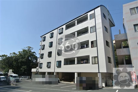 土佐清水　アパート　マンション　2DK　コンビニ近く　避難地近く　インターネット無料　角部屋　敷金礼金なし　ゼロ　エレベーター付　高層階