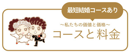 会員・成婚率データ/会員数や成婚率のデータを分かりやすくグラフや、統計で説明します。