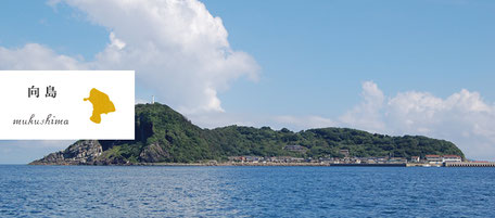 からつ七つの島 島留学 向島 むくしま