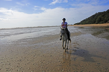 Afrique du Sud / Mozambique Benguerra Island / Bazaruto.