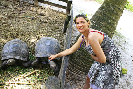 Seychelles Praslin Mahé