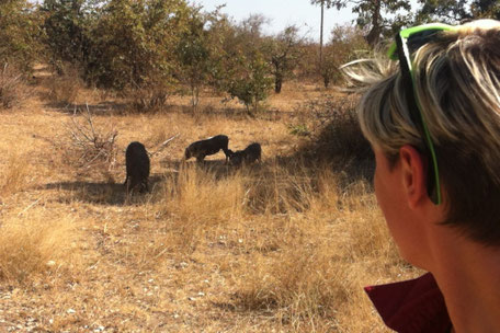 Afrique du Sud / Mozambique 