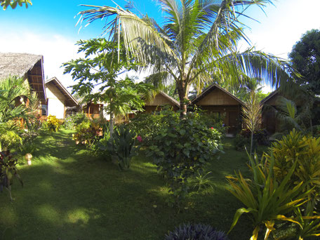 Philippines, bohol, alona beach, reggae guesthouse