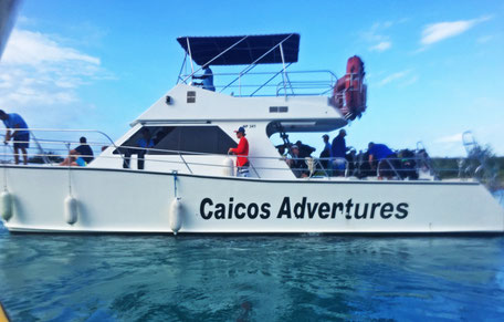 Turks et Caïcos /Providentiales /Baie de Grace (Grace bay beach) /Bahamas 