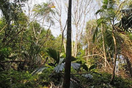 Seychelles Praslin Mahé