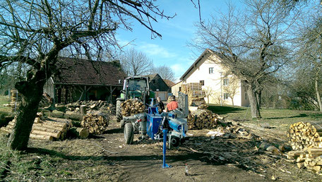 Holzenergie - Baumpflege Lautenschlager