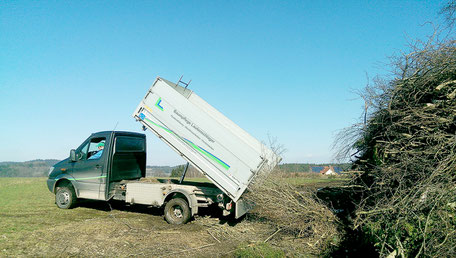 Abtransport des Astmaterials mit Transporter oder Großtechnik