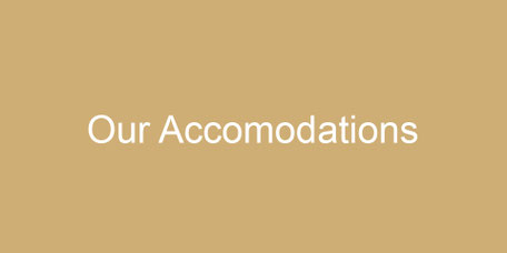 Our Accomodations – Dilpert Apartments
